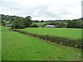 Hedgerow reinforced with a fence