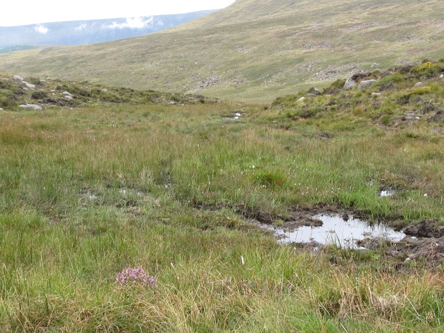 Boggy area west of the Banns Road in the vicinity of the Mourne Wall