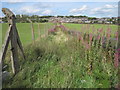 Footpath from Haughs Lane