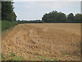 Field off Warren Street