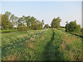 Footpath along River Great Ouse