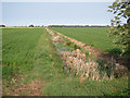 Ditch across Lower Delphs