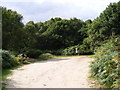 Restricted Byway over Blaxhall Common