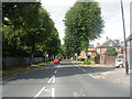 Campleshon Road - Bishopthorpe Road