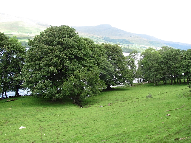 Grassland beside Loch Tay