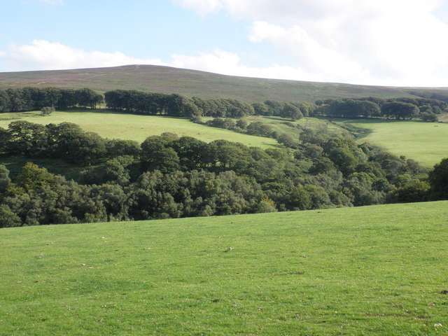 View across East Water Valley, to Dunkery Hill