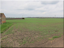 TL4376 : Fields by Galls Farm by Hugh Venables