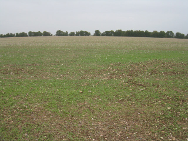 Farmland north of Overton Mill