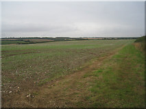 SU5151 : Farmland north of Overton Mill by Mr Ignavy