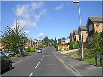 SE2338 : Hunger Hills Avenue - viewed from West End Drive by Betty Longbottom