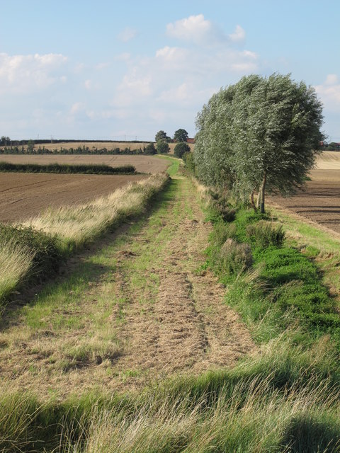 Farm track heading north