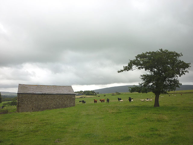 Barn and tree near Lower Swainshead