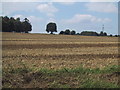 Unfenced field near Warren Lodge