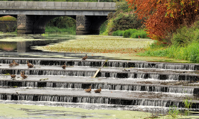 The Lagan weir, Lisburn (9) © Albert Bridge :: Geograph Britain and Ireland