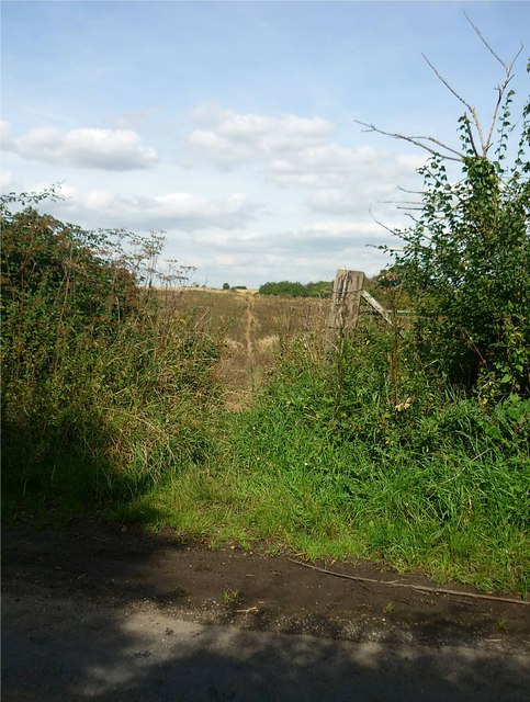 Footpath at Stanmore