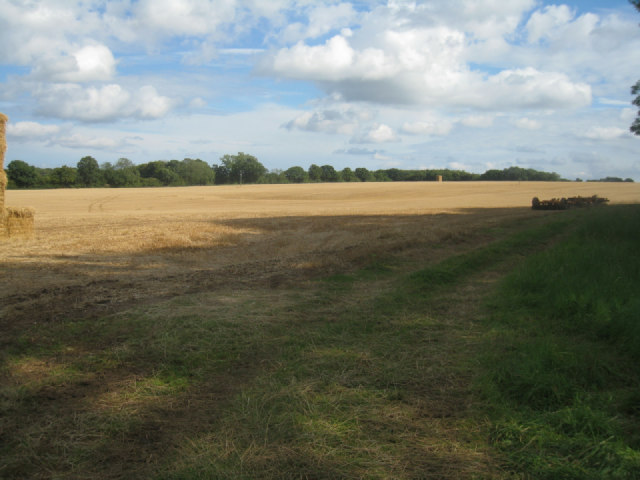 Harvested field by Pardown