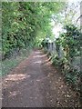 Fence by the playing field