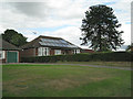 Solar panels and Monkey Puzzle 