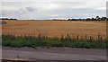 Fields near Ormskirk