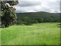 Grassland, Lawers