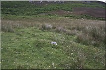 NR3141 : Ruins of Cill Choman, Islay by Becky Williamson