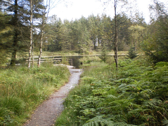 Path leading to Grizedale Tarn
