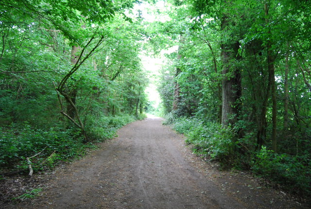 Capital Ring, Wimbledon Common