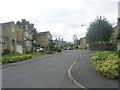 Northlea Avenue - viewed from Little Cote