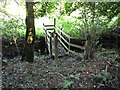 Footpath and bridge near Meidrim