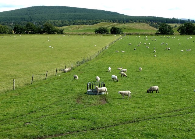Farmland at Broomhill