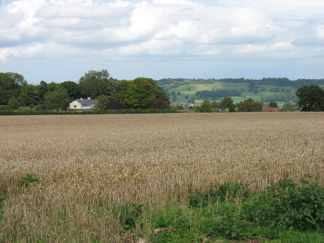 Farmland above East Harptree