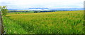 Farm land at Birniehill, by Milnathort