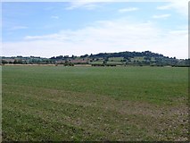 SP1846 : Fields near the Quintons .  by Nigel Mykura