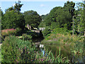 Milnsbridge - canal east of Lock 12