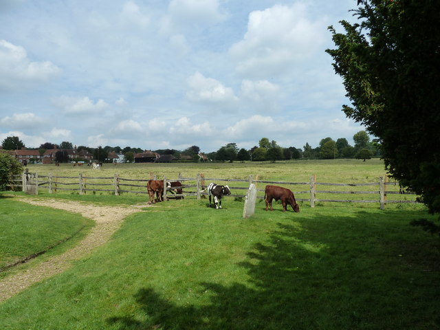 A mooving scene at Greywell