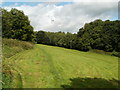 ST1387 : Field alongside Hendredenny Drive, Caerphilly by Jaggery