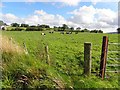 Drumlegagh Townland