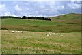 NY2090 : Farmland at Dry Cleuch by Walter Baxter