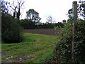 Bridleway to Bedfield Road & the footpath to the A1120