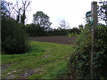 TM2464 : Bridleway to Bedfield Road & the footpath to the A1120 by Geographer