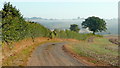 Farm track after harvest