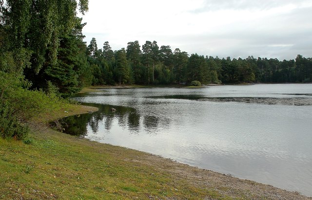 Loch Vaa Shoreline