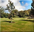 Garden at Secretts Garden Centre