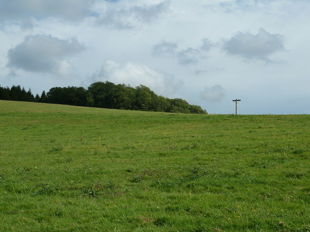 Footpath and bridleway crossing on Levin Down