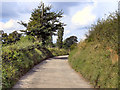 Path Between Goyt Hall and Lower Bredbury