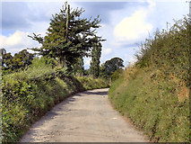 SJ9290 : Path Between Goyt Hall and Lower Bredbury by David Dixon