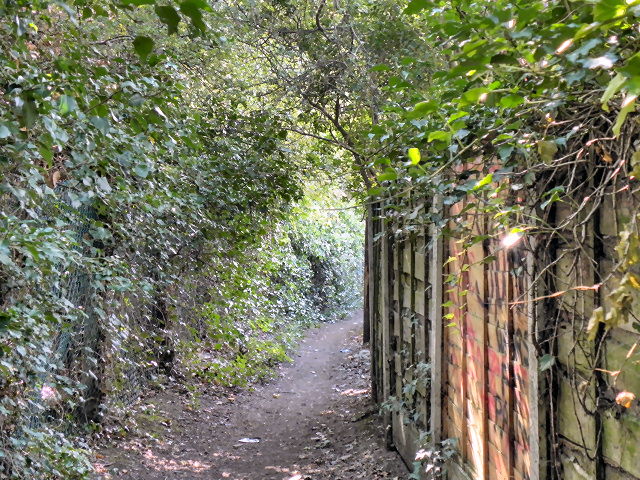 Lower Bredbury, Path Behind Sargent Road