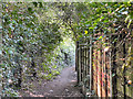 Lower Bredbury, Path Behind Sargent Road