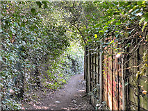 SJ9190 : Lower Bredbury, Path Behind Sargent Road by David Dixon