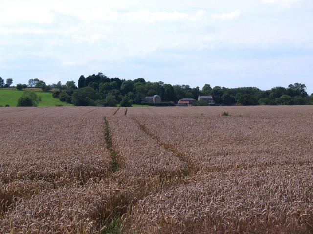 Arable field, Thirkleby